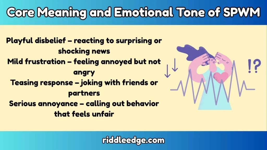 Core Meaning and Emotional Tone of SPWM