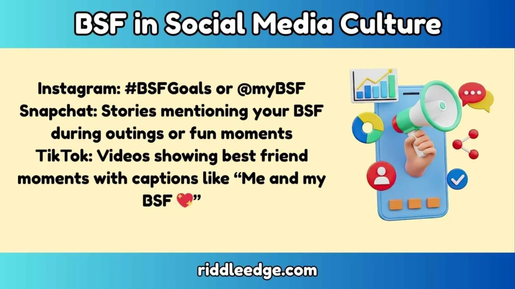 BSF in Social Media Culture