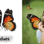 butterfly riddles