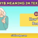 HYB Meaning in Text