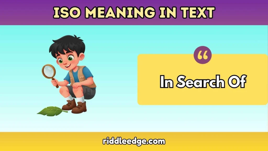 ISO Meaning in Text
