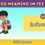 ISO Meaning in Text