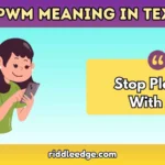 SPWM Meaning in Text