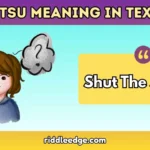 STSU Meaning in Text
