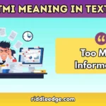 TMI Meaning in Text