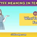WYFF Meaning in Text
