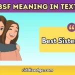 BSF Meaning in Text