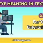 FYE Meaning in Text