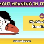 MMCHT Meaning in Text