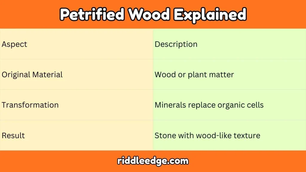 Petrified Wood Explained