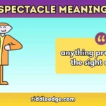 Spectacle Meaning