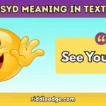 SYD Meaning in Text