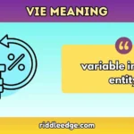 Vie Meaning