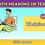 WFH Meaning in Text