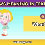 WS Meaning in Text