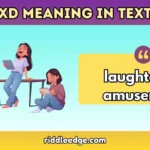 XD Meaning in Text